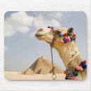 Recherche de pyramide tapis souris Architecture