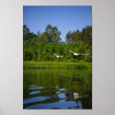 Recherche de vol de la vie art Nature