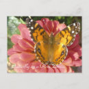 Zoek naar butterfly briefkaarten Tuin