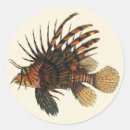 Recherche de venimeux autocollants Poisson lion