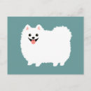 Recherche de pomeranians cartes postales Pour tous