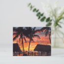 Recherche de florida keys cartes postales Palmiers