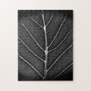 Recherche de veine puzzles Feuille