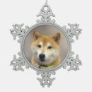 Recherche de devenu maison deco Noël