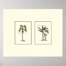 Zoek naar miniatuur posters Bomen