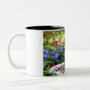 Recherche de moineau tasses Nature