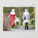 Recherche de tudors cartes postales Historique