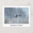 Recherche de meilleurs voeux cartes postales Hiver