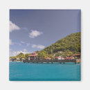 Recherche de gorda vierge magnets Joe restuccia iii