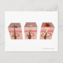 Recherche de parties du corps cartes postales Humain