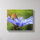Zoek naar honingbij kunst Geel