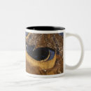 Recherche de grande muraille mugs bouteilles Chine