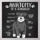 Recherche de anatomie chien art Animal