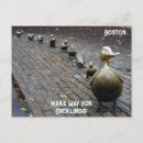 Zoek naar eendjes briefkaarten Eenden