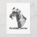 Recherche de airedales cartes postales Airedale terrier