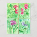Recherche de pois rose cartes postales Pour tous