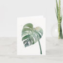 Recherche de monstera vœux cartes Plante