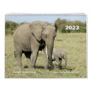 Zoek naar leopard kalenders Safari