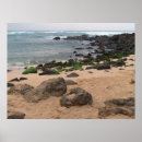 Recherche de tortue de mer posters Vacances