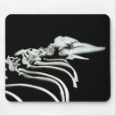 Recherche de fossile tapis souris Squelette