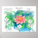 Zoek naar waterlelie vijver posters Waterlustig