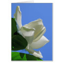 Recherche de gardenia cartes postales Floral