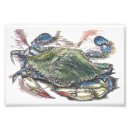 Recherche de crabe bleu art Fruits de mer