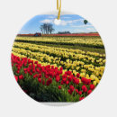 Zoek naar luchtballon ornamenten Rood