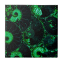 Zoek naar fossielen tegels Abstract