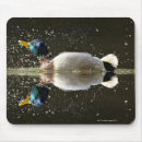 Recherche de outre tapis souris Mouvement