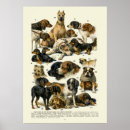 Recherche de races de chien posters Vétérinaire