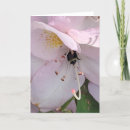 Recherche de rhododendron rose Floraison
