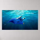 Recherche de manta ray posters Mer