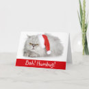 Zoek naar kattenkerstmis kaarten Kattenliefhebber