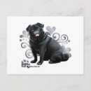 Recherche de carlin noir cartes postales Carlins