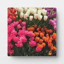 Recherche de fleurs colorées plaques Printemps