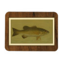 Zoek naar zwarte achtergrond magneten Zwemmen