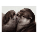 Recherche de loutre posters Animal