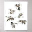 Zoek naar bijen tekening kunst Natuur