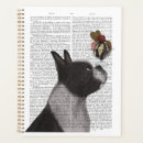 Recherche de boston terrier Steampunk