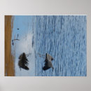 Recherche de oiseau bleu posters Grue