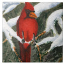 Recherche de oiseau rouge carreaux Animaux