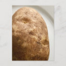 Zoek naar aardappels briefkaarten Koken