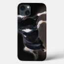 Zoek naar kleur fotografie Dieren