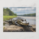 Recherche de américain cartes postales Jour