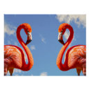 Recherche de pair posters Animal