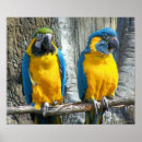 Recherche de doigt posters Attitude