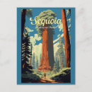 Zoek naar sequoia briefkaarten Sequoia nationaal park