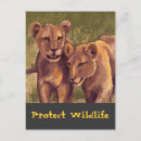 Recherche de soeur de frère cartes postales Pour eux