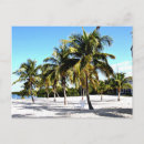 Recherche de plage palmier cartes postales De la floride